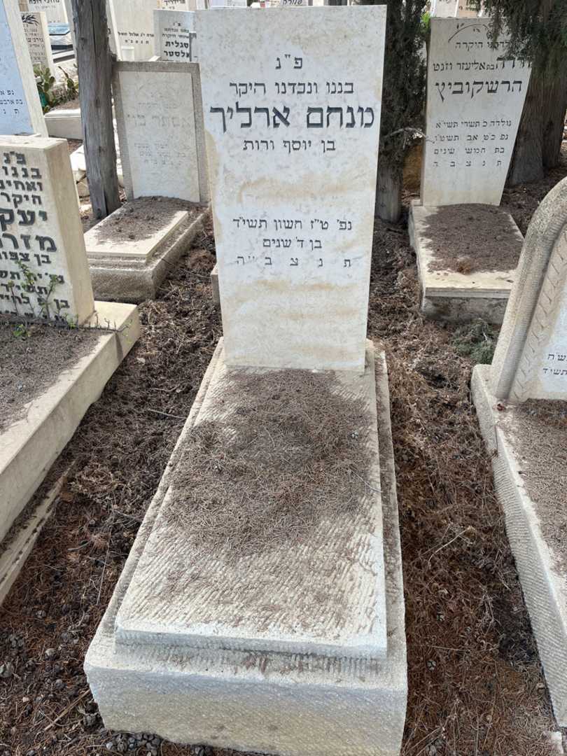 קברו של מנחם ארליך