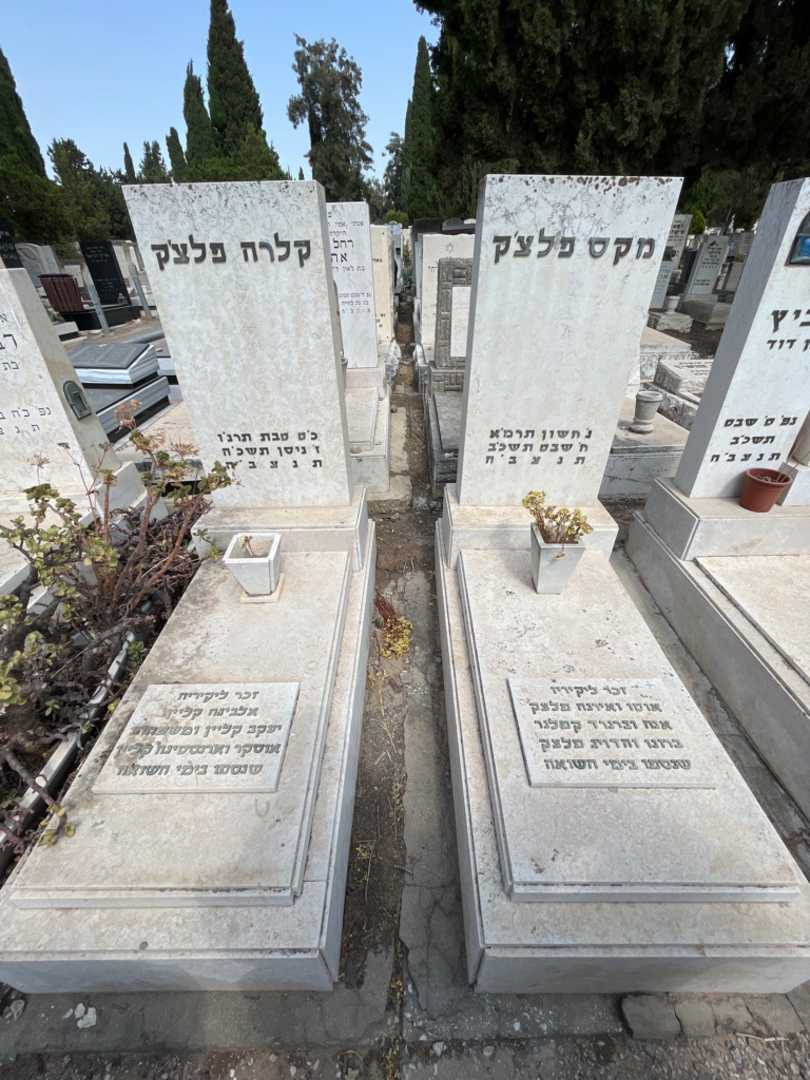 קברו של ארנסטינה קליין. תמונה 1