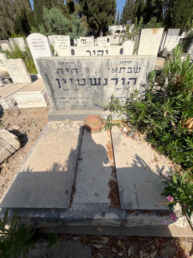 קברו של שבתאי הורנשטיין. תמונה 2