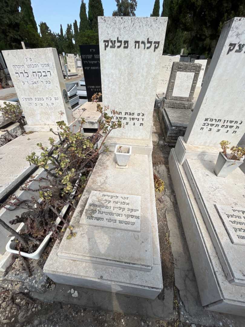 קברו של ארנסטינה קליין. תמונה 2