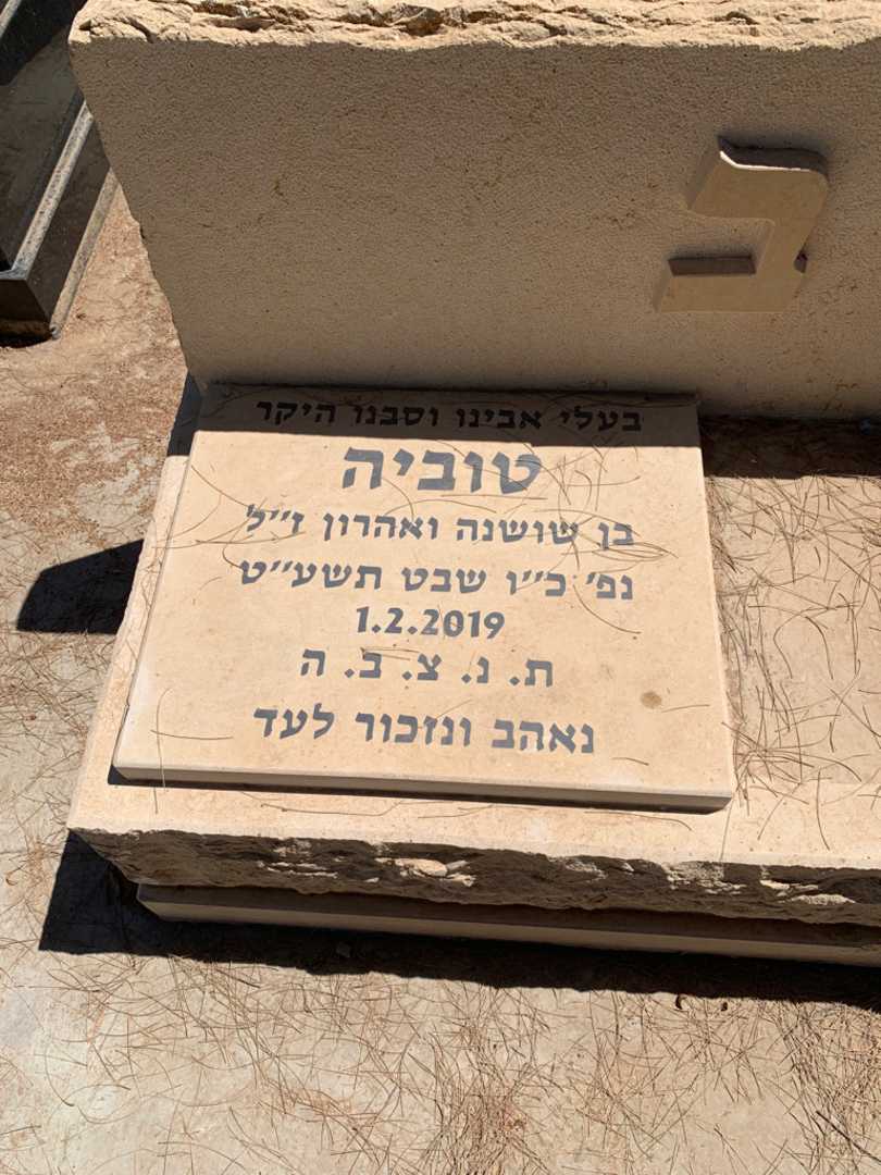 קברו של טוביה נדב. תמונה 3