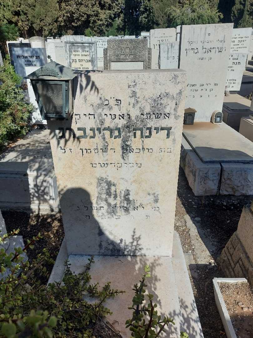 קברו של דינה גרינברג. תמונה 2