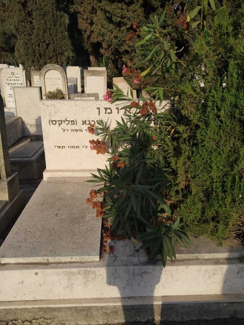 קברו של שרגא "פליקס" באומן. תמונה 2