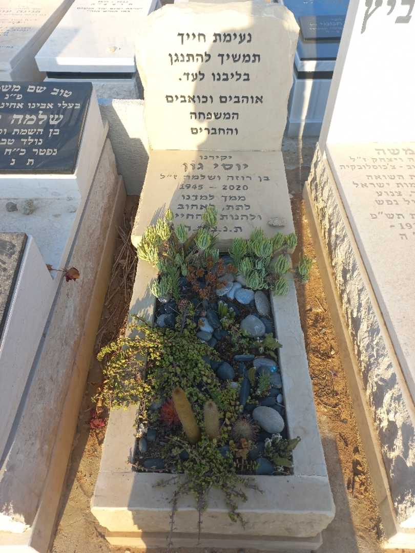 קברו של יוסי גון
