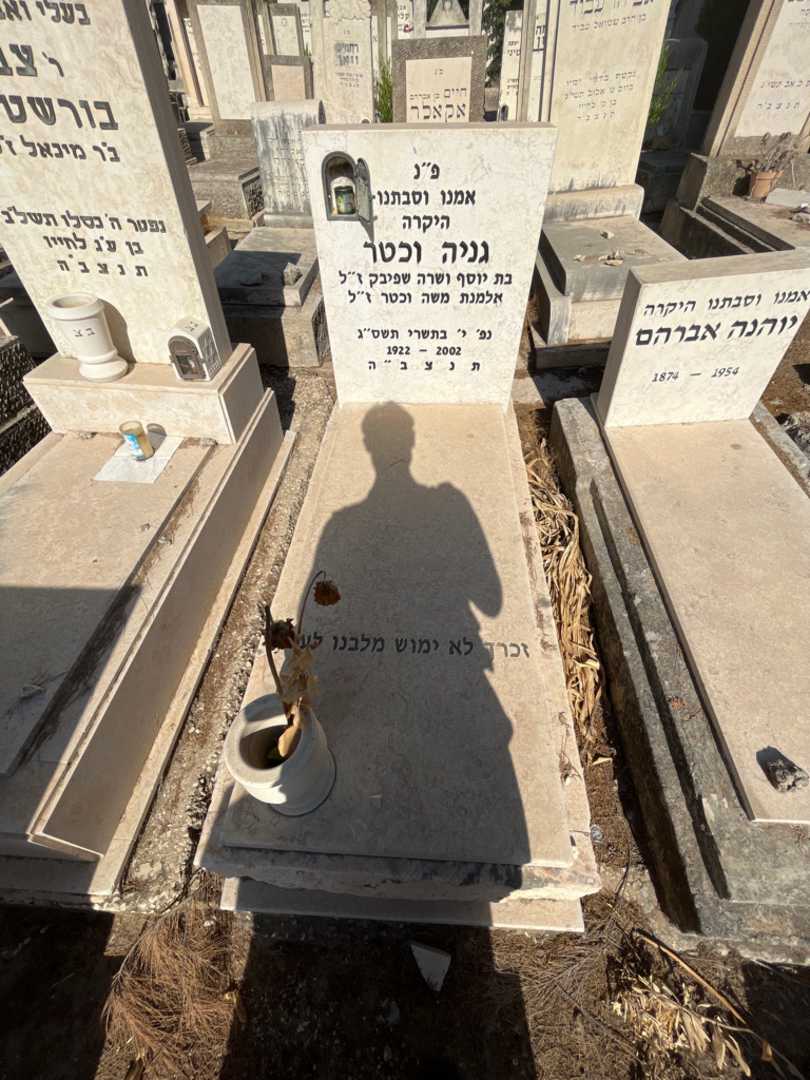 קברו של גניה וכטר