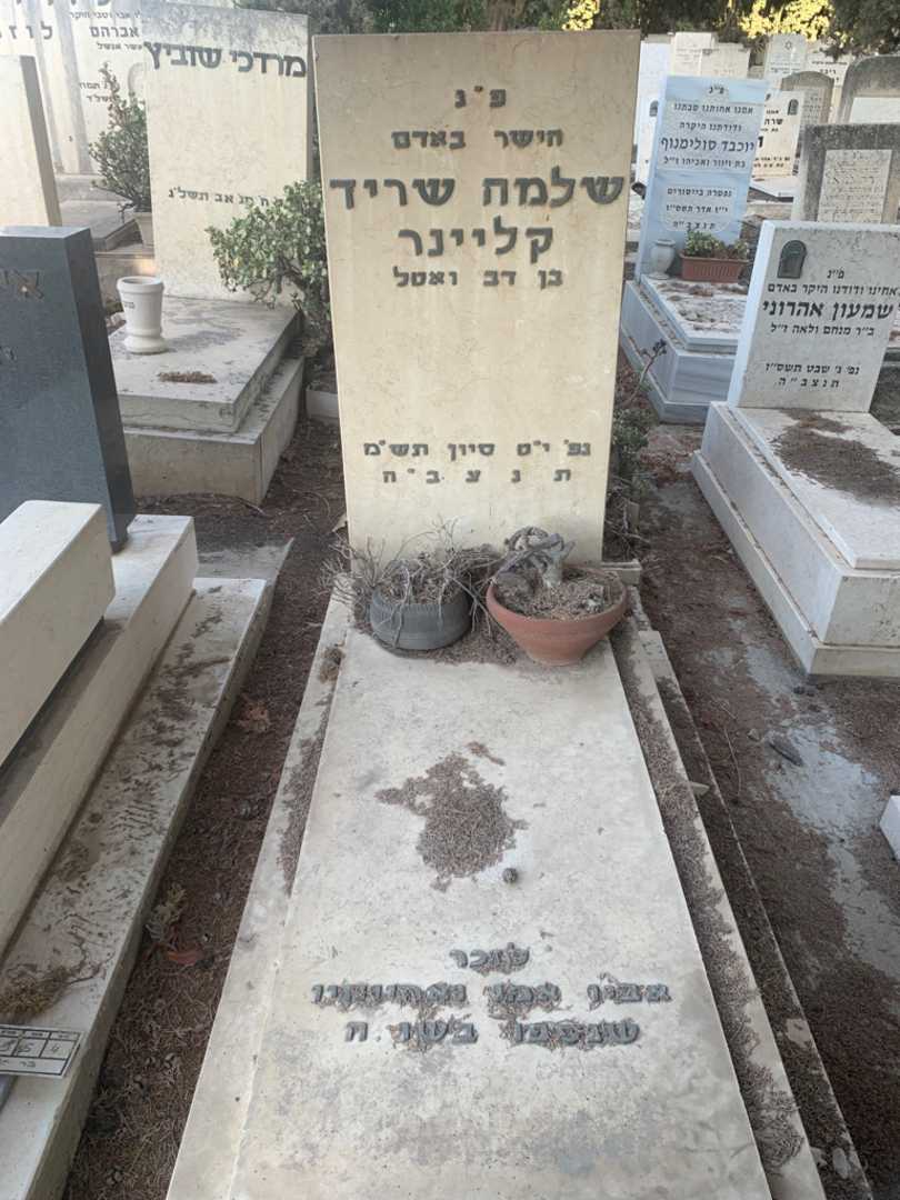 קברו של שלמה שריד קליינר