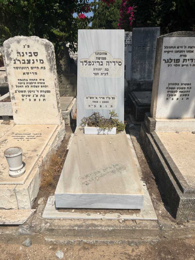 קברו של סידיה גרינפלד הבר