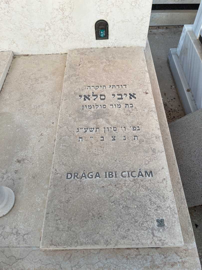 קברו של איבי סלאי ציטרון. תמונה 1