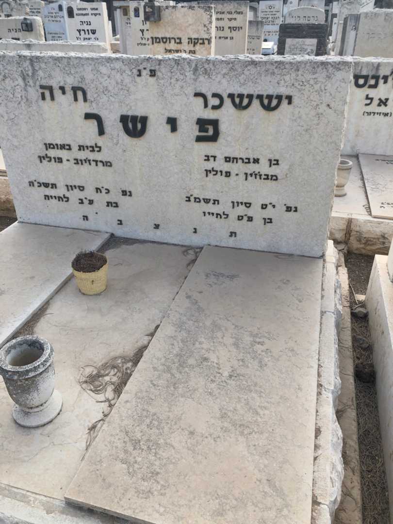 קברו של יששכר פישר. תמונה 1