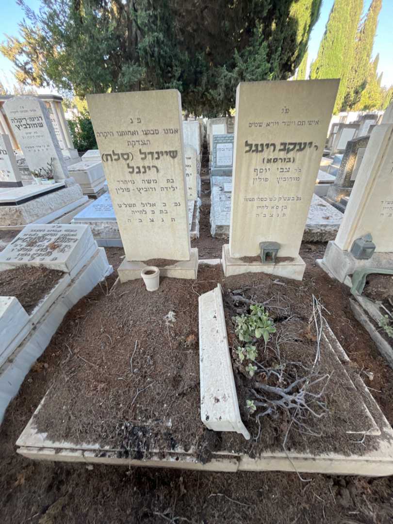 קברו של שיינדל "סלה" רינגל. תמונה 1