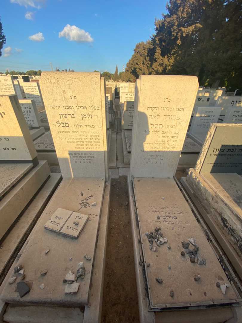 קברו של זלמן גרשון סגל. תמונה 2