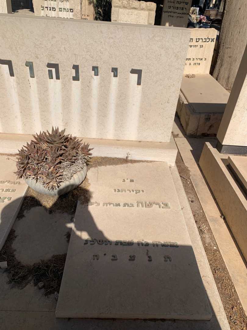 קברו של ברטה ריינהורן. תמונה 2