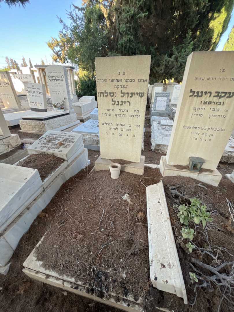 קברו של שיינדל "סלה" רינגל. תמונה 2