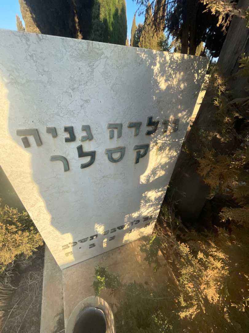 קברו של גולדה גניה וקסלר. תמונה 2