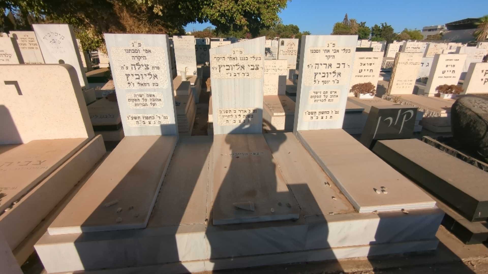 קברו של דב אריה אליוביץ. תמונה 1