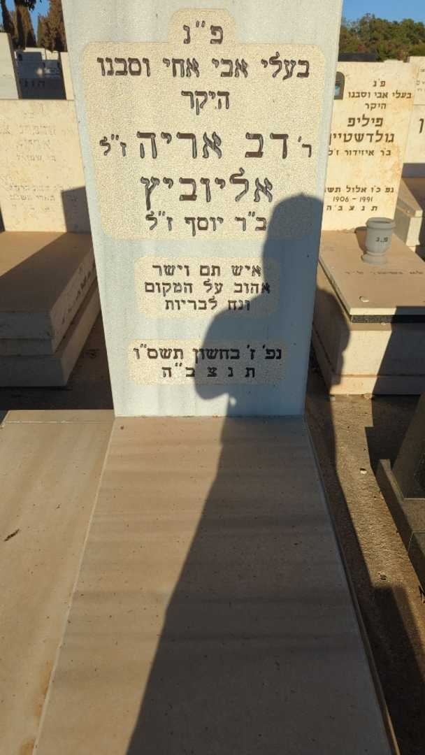 קברו של דב אריה אליוביץ. תמונה 2