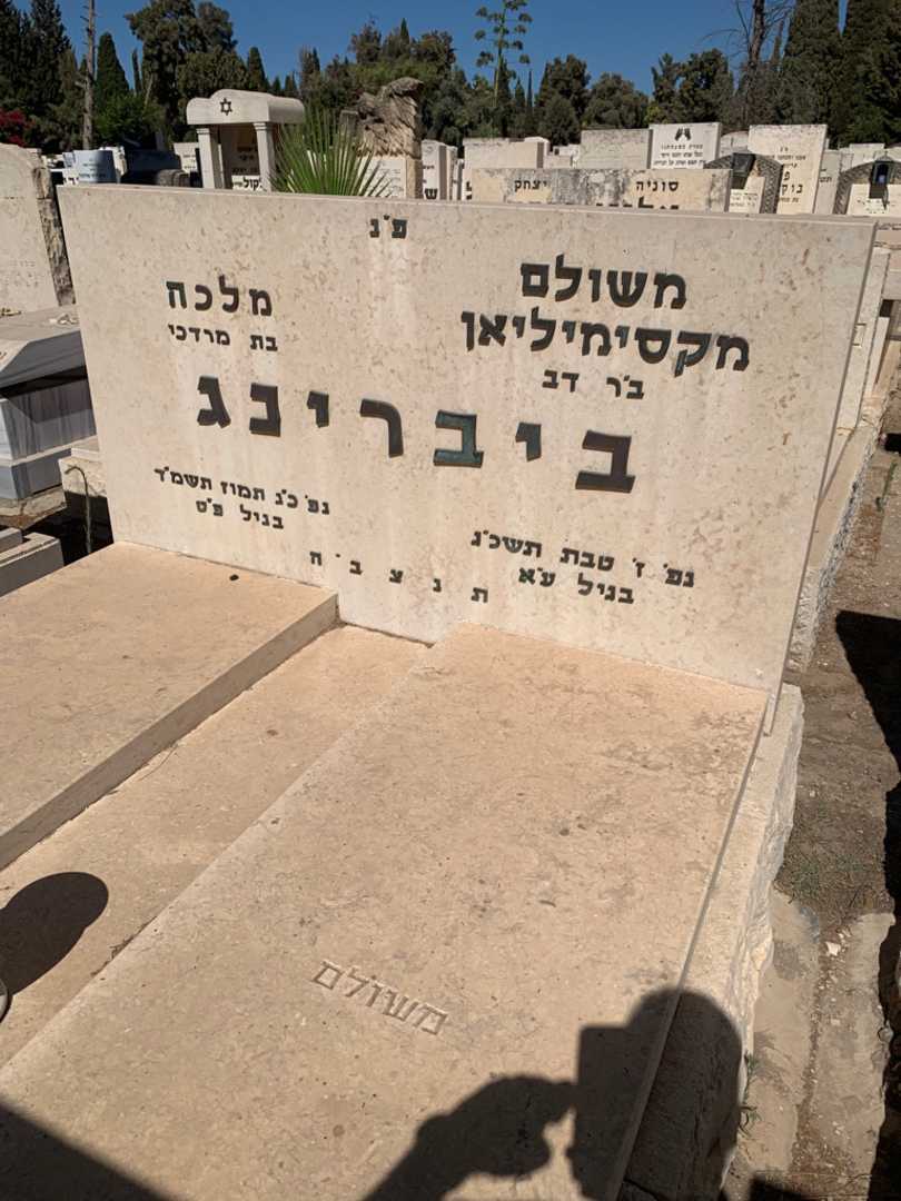 קברו של משולם מקסימיליאן ביברינג. תמונה 3