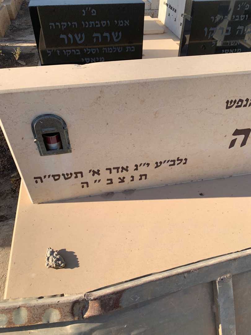 קברו של טופיק עטיה. תמונה 2