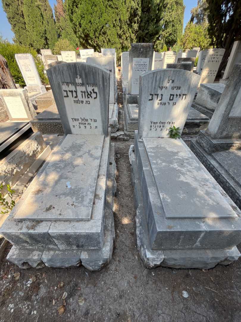 קברו של לאה נדב. תמונה 2