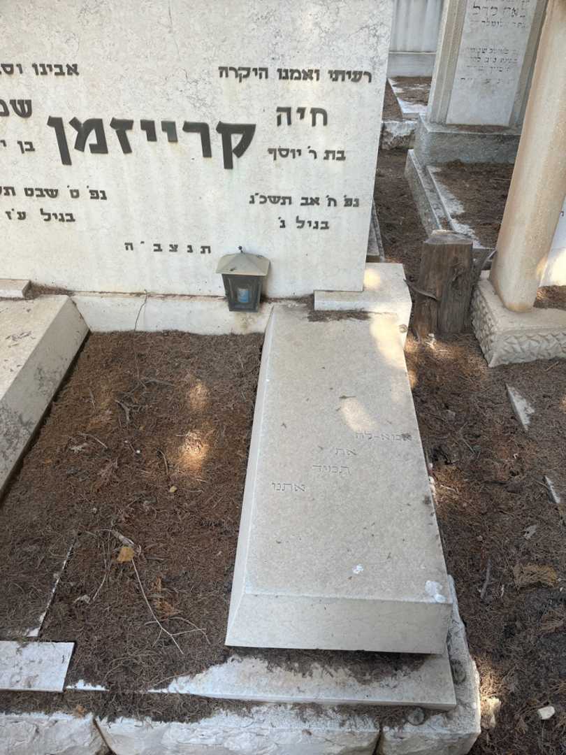 קברו של חיה קרייזמן. תמונה 1