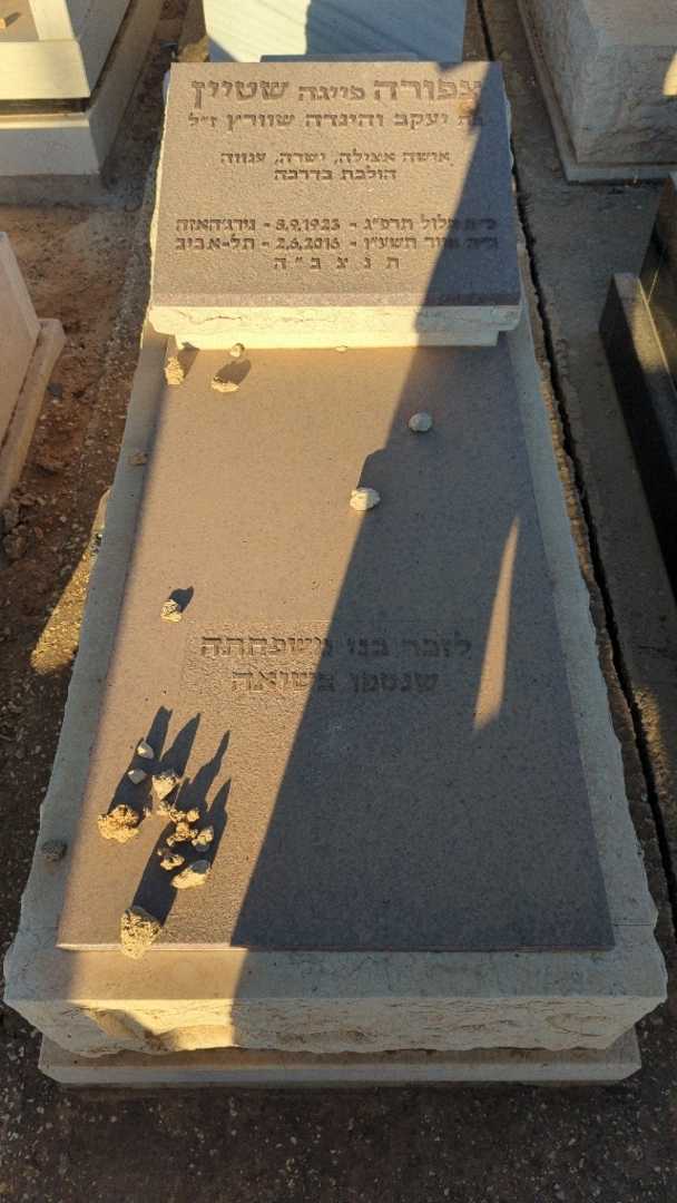 קברו של צפורה "פייגה" שטיין