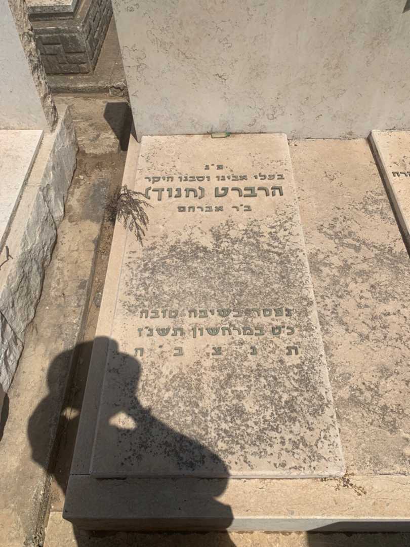 קברו של הרברט (חנוך) קיבי. תמונה 1