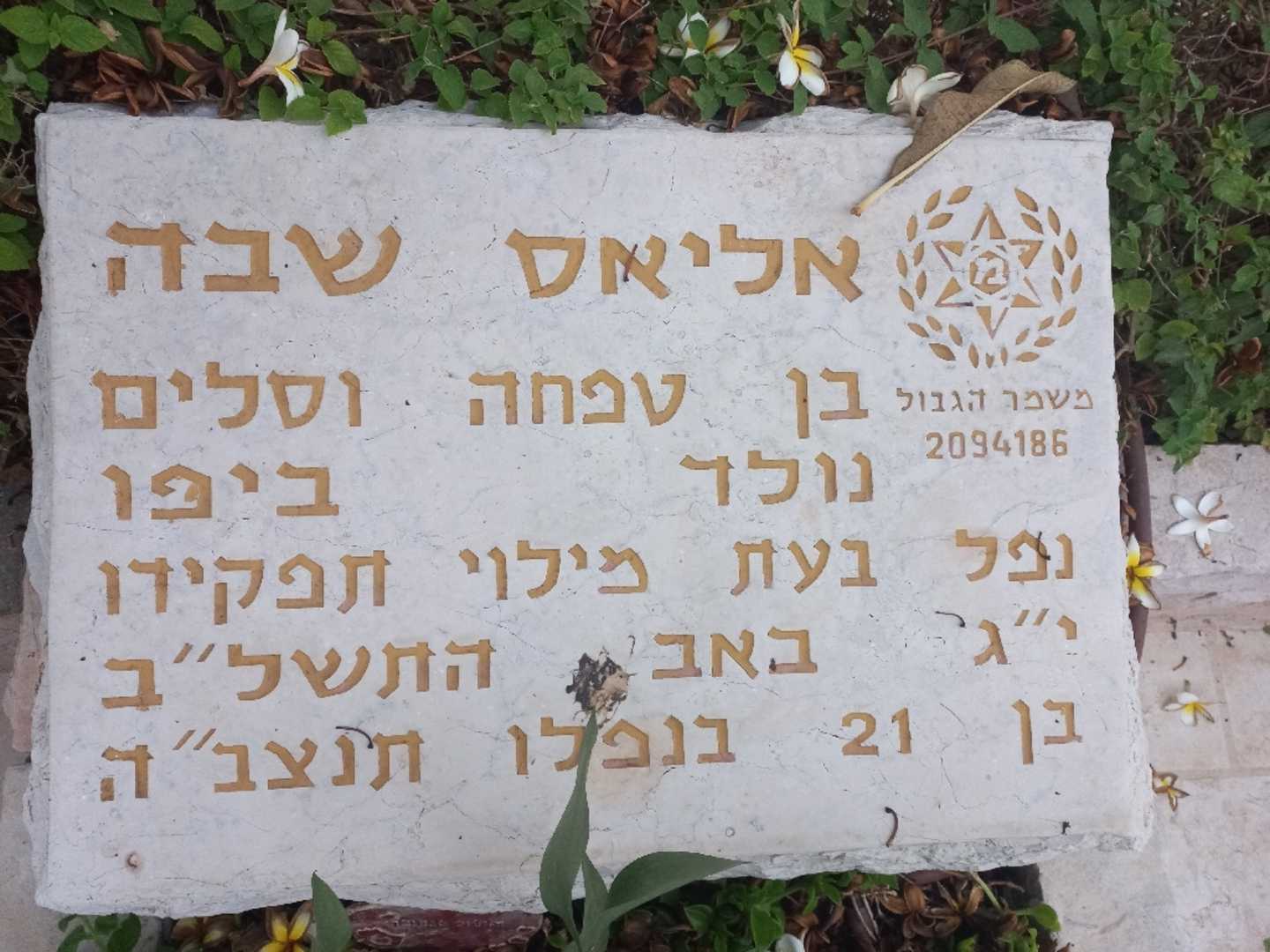 קברו של אליאס שבה. תמונה 2