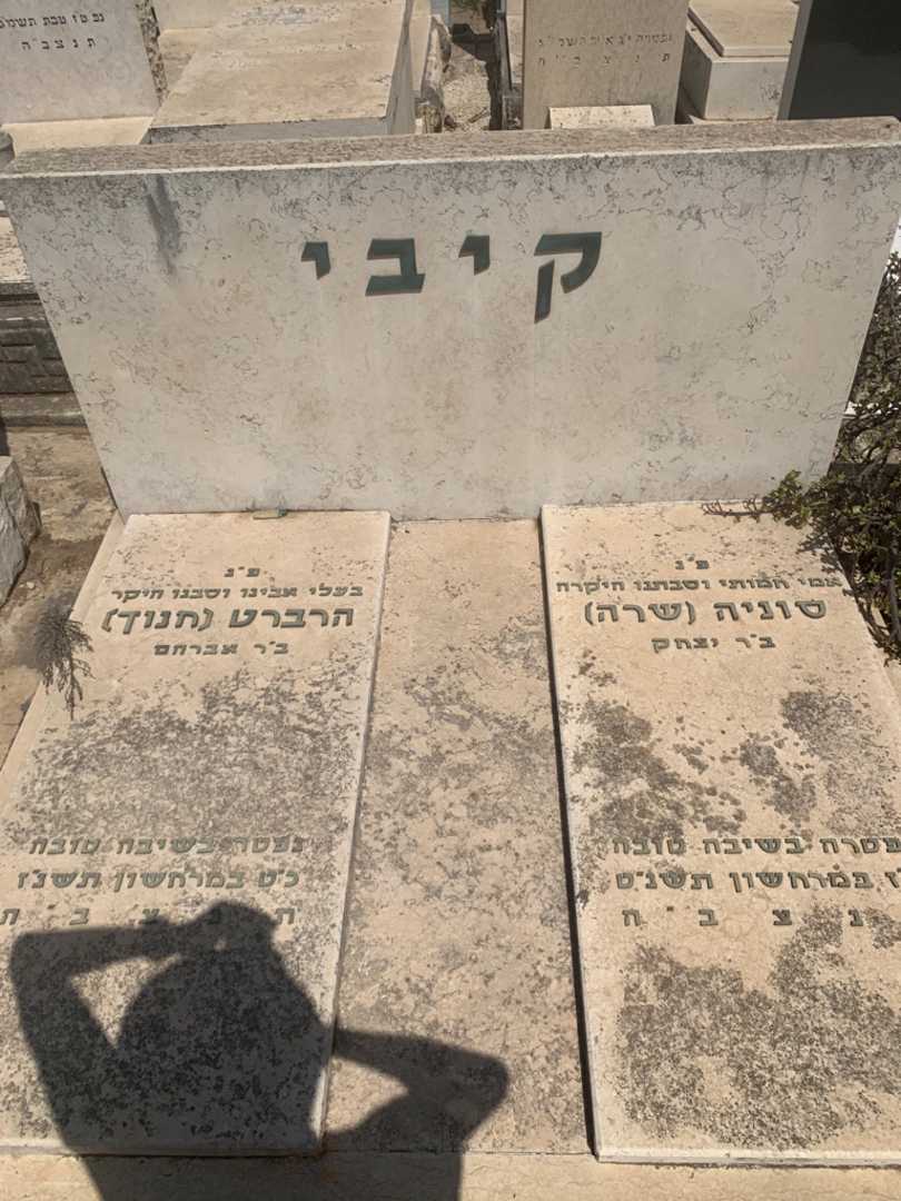 קברו של הרברט (חנוך) קיבי. תמונה 2