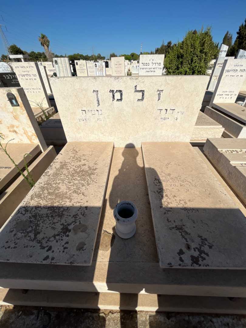 קברו של דוד זלמן. תמונה 1