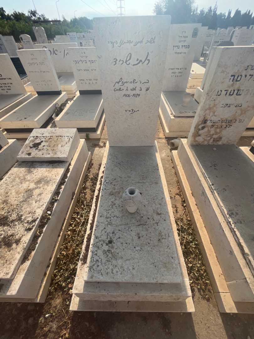 קברו של רותי שריד
