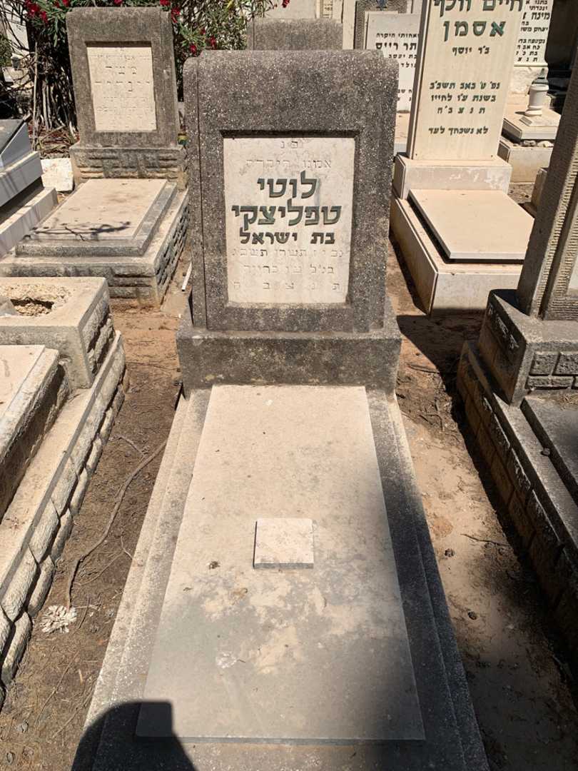 קברו של לוטי טפליצקי