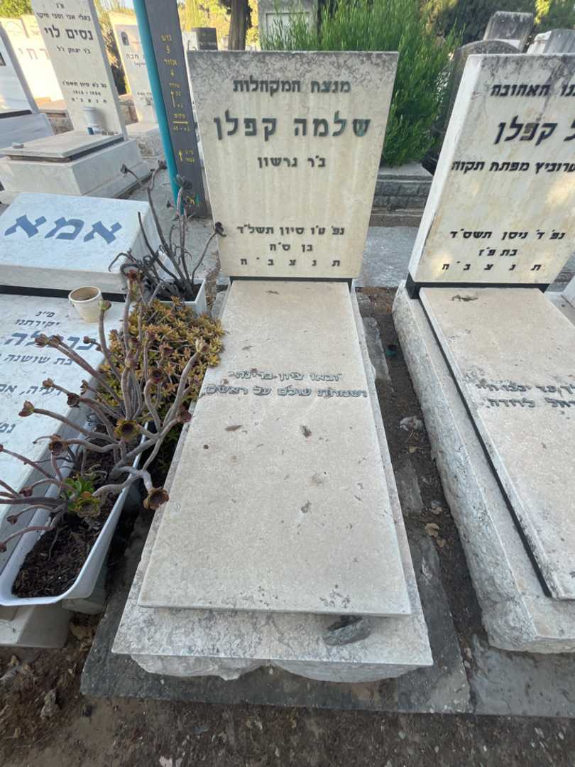 קברו של שלמה קפלן. תמונה 2