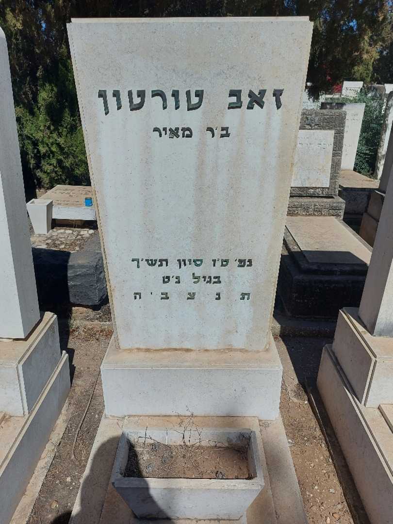 קברו של זאב טורטון