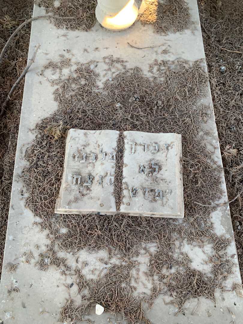 קברו של נעימה חבושה. תמונה 3