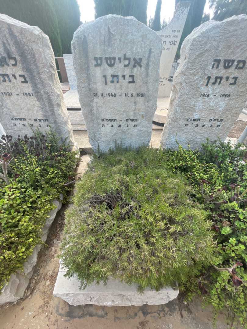 קברו של אלישע ביתן. תמונה 1