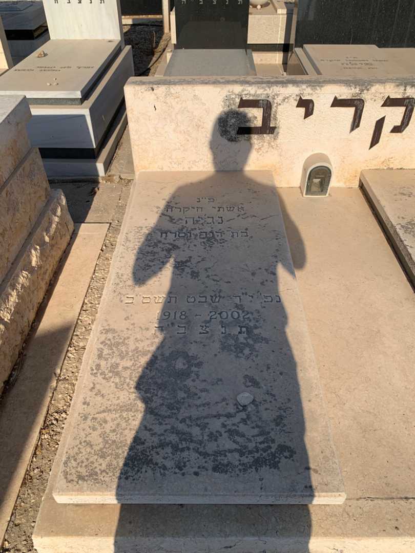 קברו של נג'יה קריב. תמונה 2