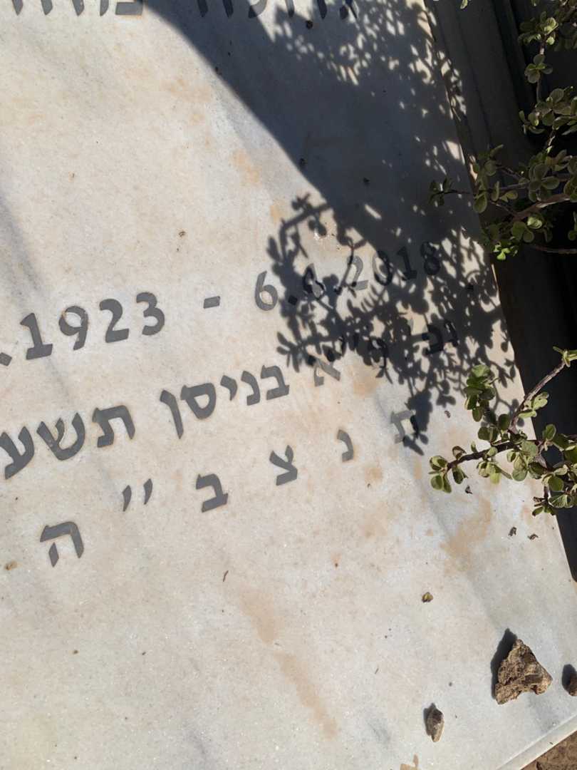קברו של בתיה אורנשטיין. תמונה 4