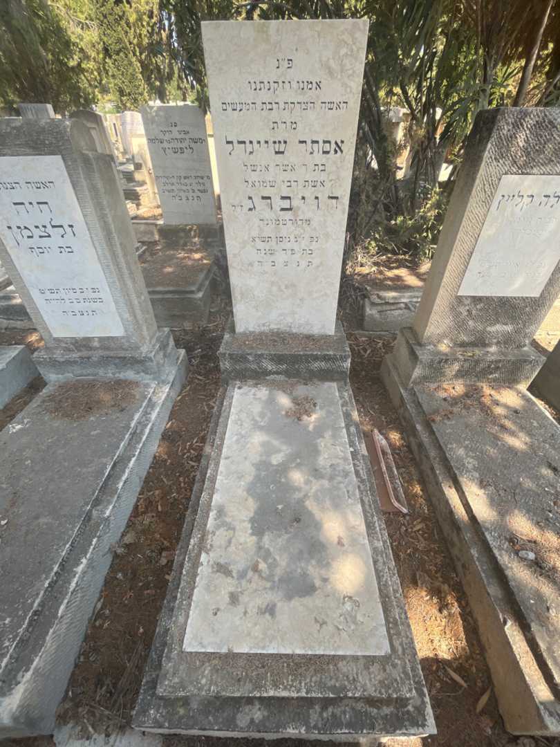 קברו של אסתר שיינדל דויברג אנשל