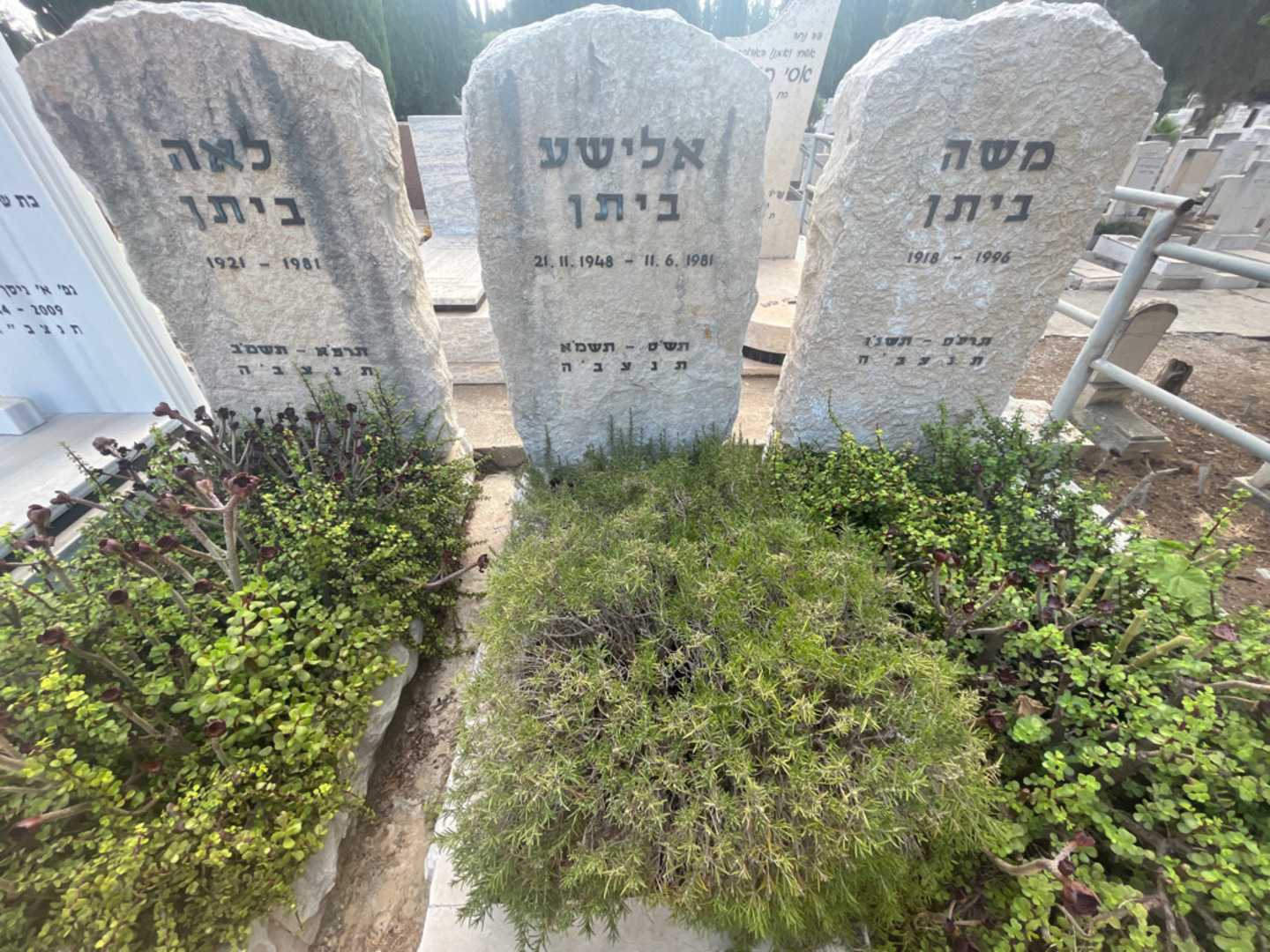 קברו של אלישע ביתן. תמונה 2