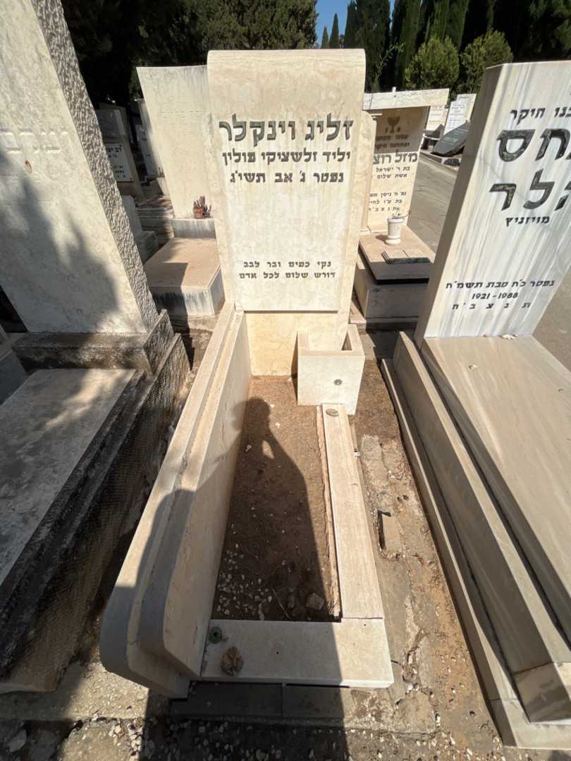 קברו של זליג וינקלר. תמונה 1