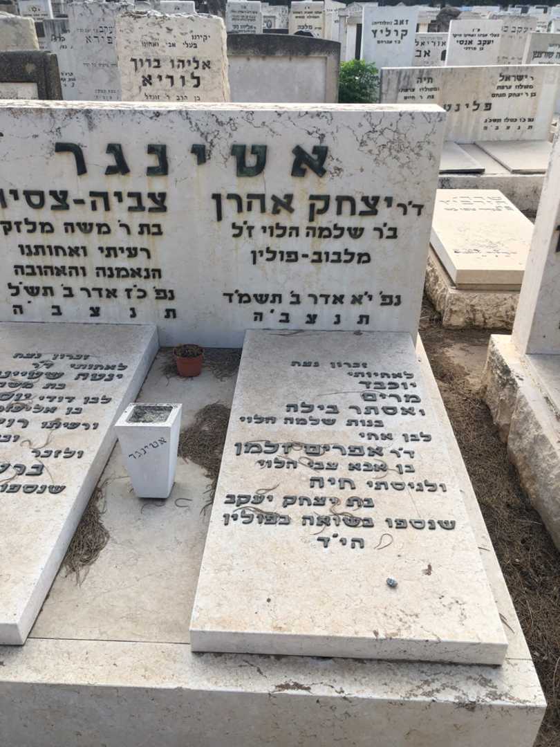 קברו של מרים בילה. תמונה 1