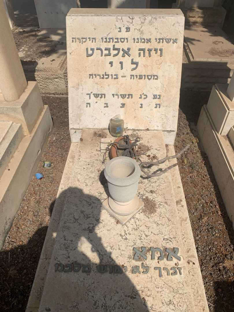 קברו של ויזה אלברט לוי