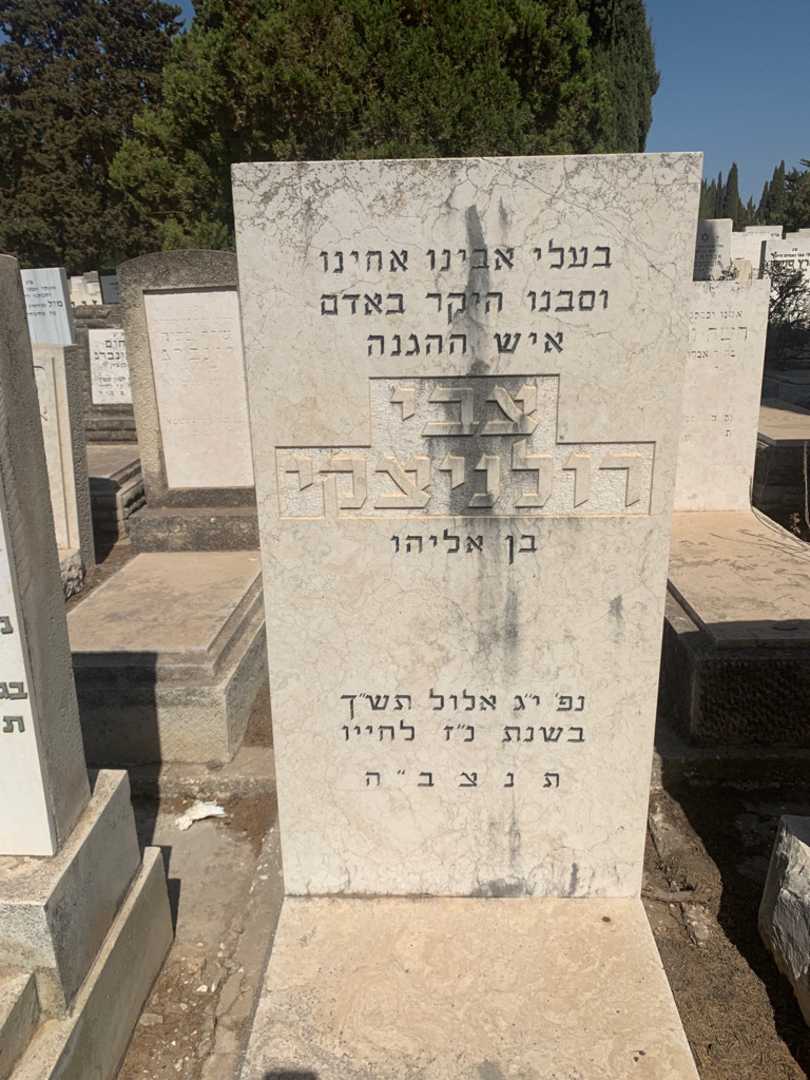 קברו של צבי רולניצקי