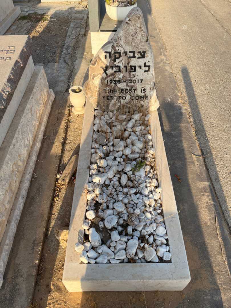 קברו של צביקה ליפוביץ
