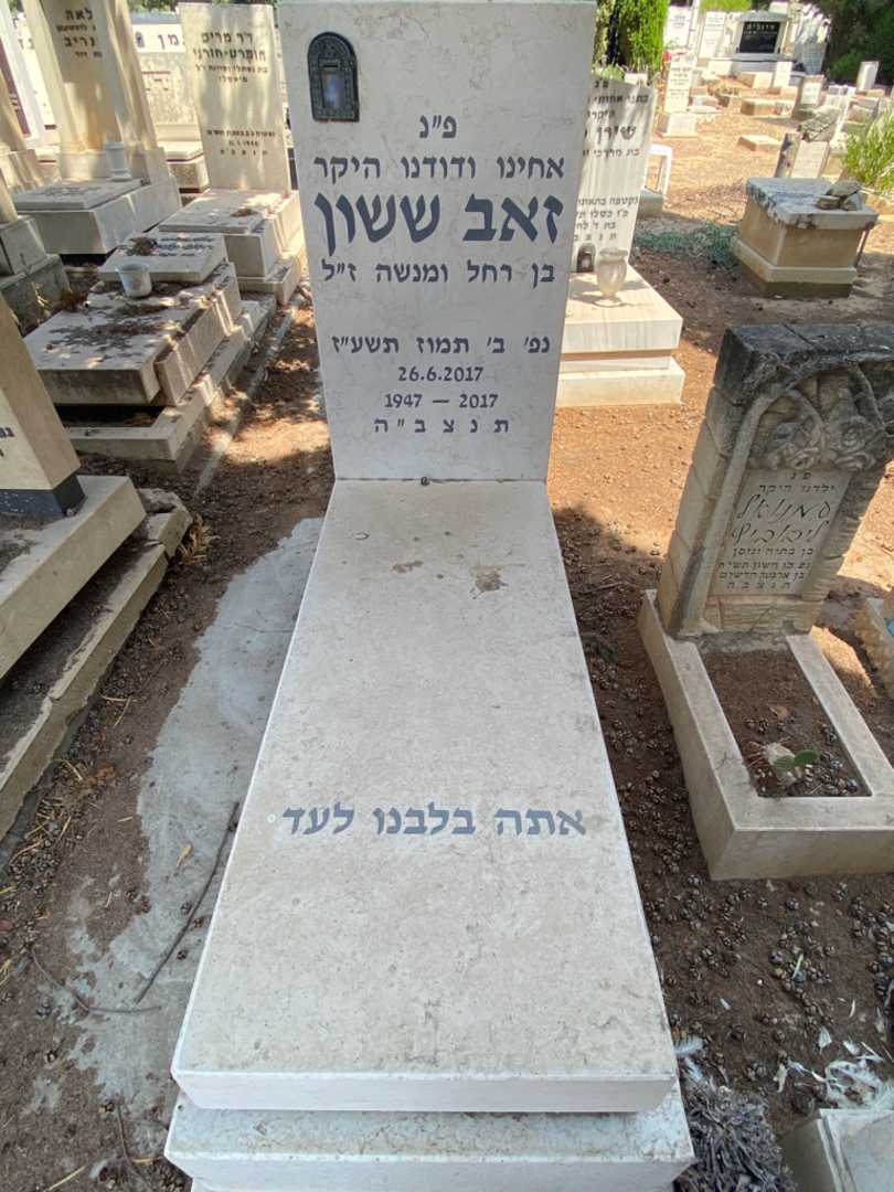 קברו של זאב ששון