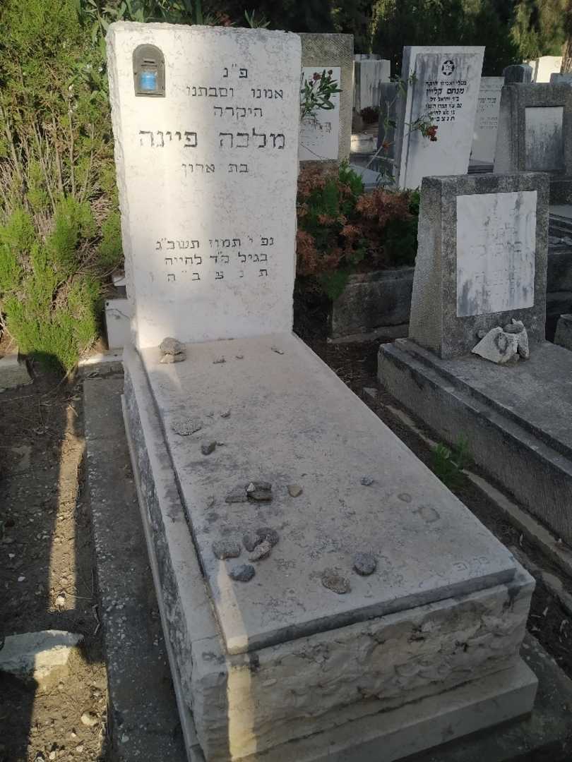 קברו של מלכה פיינה