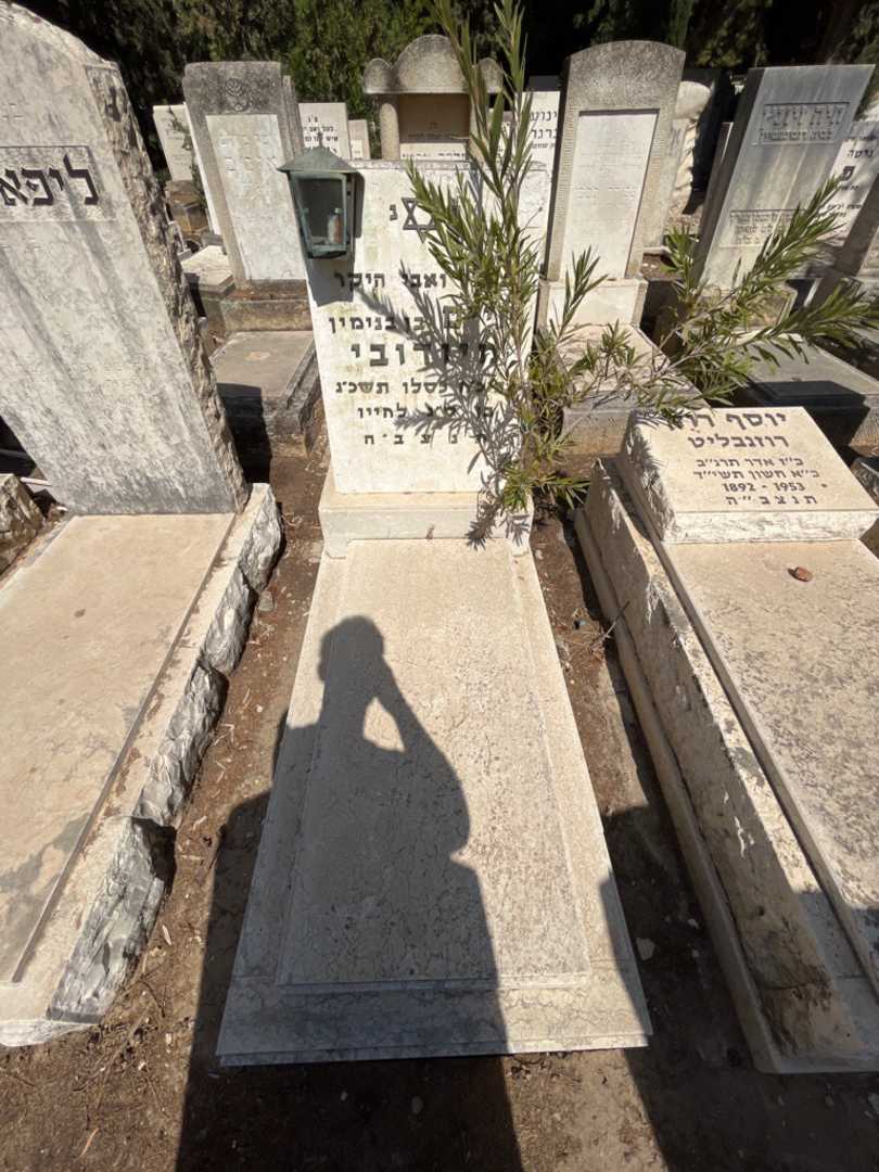 קברו של חיים מיודובי