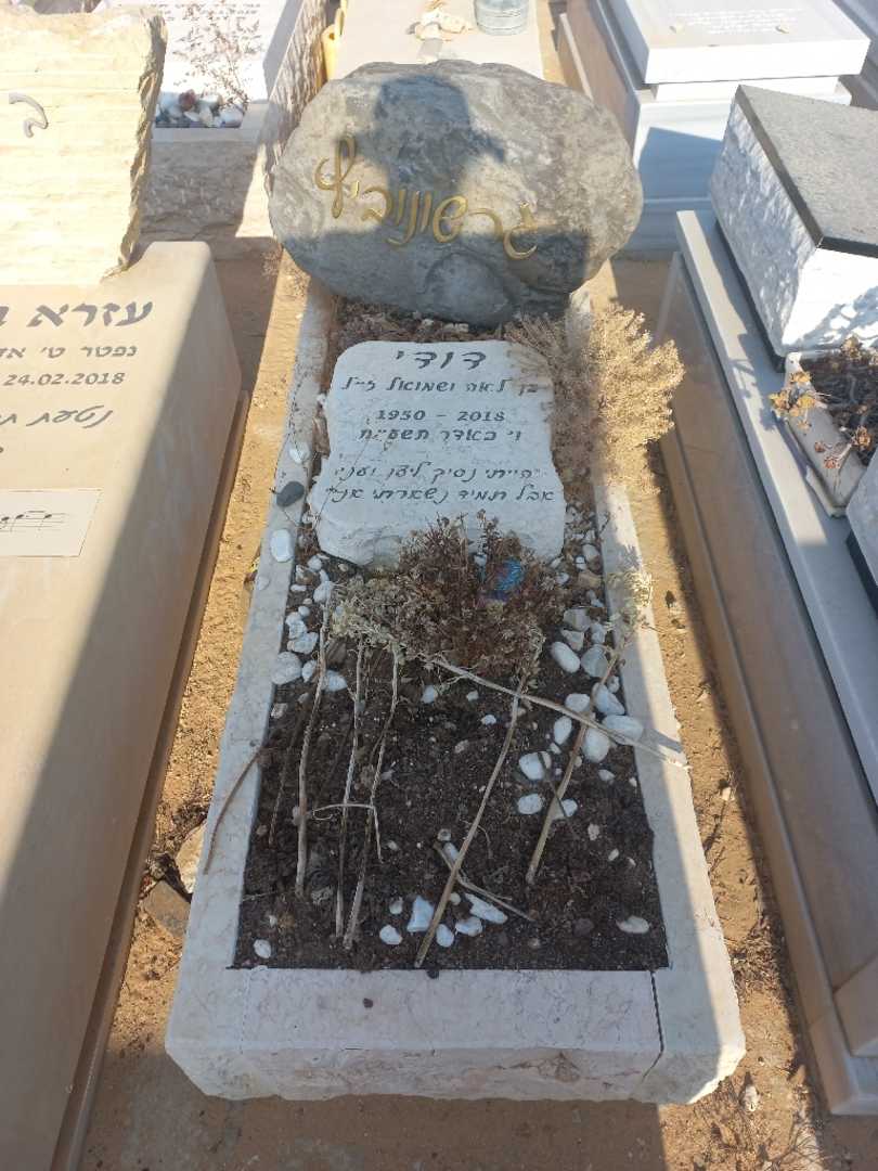 קברו של דודי גרשונוביץ