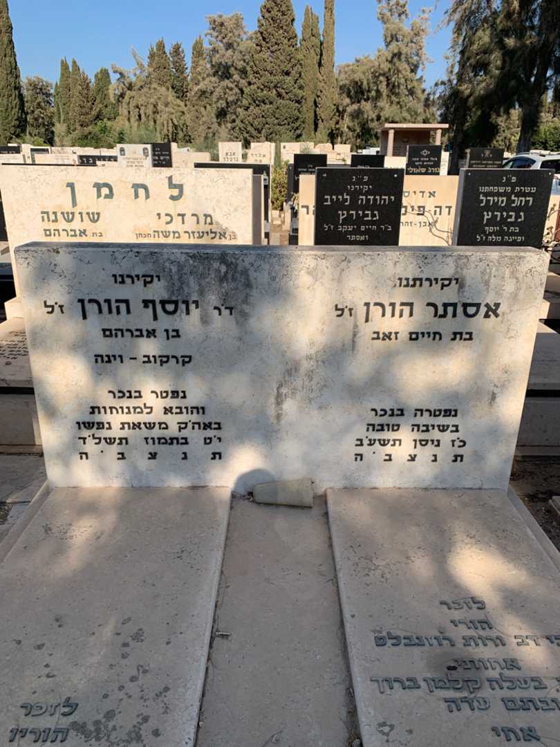 קברו של אסתר הורן. תמונה 1
