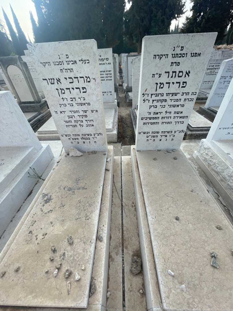 קברו של אסתר פרידמן. תמונה 1